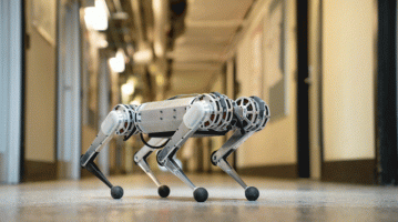 Mini Cheetah robot