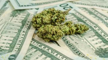 Cannabis banking reform
