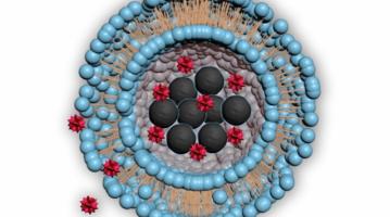 Nanomaterial drug delivery